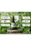 Nane Yağı /Mint Oil 20ml - 2