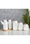 2-Piece 6-Piece Porcelain with Bamboo Stand 1000 ml Oil Pot and 3-Piece Jar Storage Set Dowry Bowl