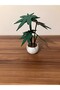 Leaf Shaped Coaster - 3