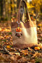 Pumpkin Bag Accessory Valentine's Day Gift Concept Cute Toy |   Pumpz - 5