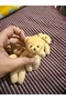 Gift Plush Teddy Bear Bag Ornament and Keychain 6 Pieces - 2