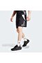 Tiro24 Short Men's Football Shorts Ir9376