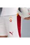 Galatasaray 25/26 Men's Football Shorts - 5