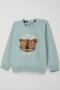 Boy's Tracksuit Set with Cute Tiger Embroidery, Ages 1-4, Water Green - 8