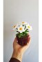Decorative Small Cobalt in Flower – Gift for Home and Office - 4