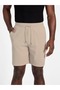 Baron Men's Regular Fit Shorts - 2