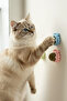 Figured Catnip Play Ball – Fun Cat Toy with Catnip - 3