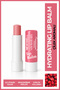 Strawberry Hydrating Lip Balm – Strawberry Flavored Moisturizing Lip Care Cream 4 Gr