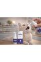LYSİNE MALT KEDİ