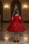 Pom-Pom Sleeve Rose Embossed Children's Evening Dress Aby246 - 2