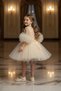 Pom-Pom Sleeve Rose Embossed Children's Evening Dress Aby246 - 2