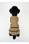 Cat Dog Dress Khaki Color Black Piped Detail