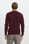 Men's Burgundy Cotton Standard Fit Regular Cut Crew Neck Honeycomb Textured Knit Sweater - 5