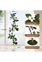 210cm S-Shape Artificial Rubber Tree with White Pot, with 8 Flowers, for Home, Living Room, Office - 4