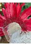 Luxurious Crystal Stone Embroidered High-Topped Feathered Henna Night Special Occasion Bridal Crown Burgundy Red Crown - 3