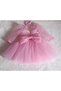 Baby Girl Children's Pink Tulle Sleeve Dress - 2