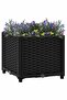 Raised Bed 40x40x38 cm Polypropylene
