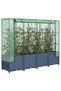 Raised Bed with Greenhouse Cover Rattan Look 160x40x138 cm