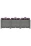 Raised Bed 120x40x38 cm Polypropylene - 2