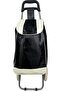 Portable And Foldable Standing Shopping Cart Trolley Bag With Wheel