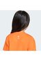 Disney Mickey Mouse Kids' Orange T-Shirt (Jz3558) - 7