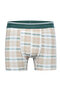 Men's 6-Piece Single Jersey Cotton Lycra Colorful Boxer Set 4147 - 3