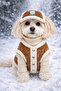 Dog Vest and Hat Winter Set – Cream Welsoft Detailed, with Snap Fasteners