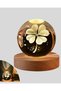 USB Connected Glass Globe Decorative Lamp with Clover Plant and Wooden Base - - 5