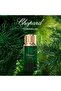 Chopard, Cedar Malaki, Eau De Parfum, Unisex, 80 ml - 5