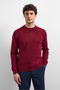 Claret Red Regular Fit Crew Neck Knitwear Sweater - 2