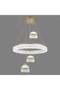 Modern Hanging LED Chandelier - 50 cm - 2