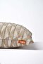 3-Piece Throw Pillow Cover with Geometric Pattern, Chevron Line Effect, and Zigzag Pattern - Cream - 3