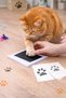 Cat & Dog Paw Print Removal Apparatus |   Pati Printing Pad + Card |   Souvenir Set - 4