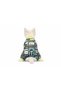 Small Breed Captain Pirate Dog Jumpsuit Dog Outfit (1-10kg) - 3