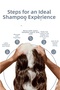 Fortify+ Anti-Hair Loss Shampoo 400ml - Root Strengthening Breakage Reducing Vegan (Biotin) - 2