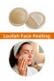 Organic Pumpkin Fiber Exfoliating Bath Facial Scrub, 8.5X8.5 cm - 1 Piece