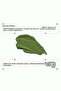 Anti-Acne and Blackhead Matcha Extract Clay Mask 30 ml - 2