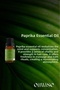 Anti-Acne and Anti-Dandruff Rosemary Essential Oil 10 ml - 2