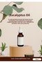 Black Cumin Seed Oil 100 ml – Pure Natural Herbal Care Oil |   Skin, Hair and Massage Oil - 2