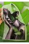 Iron-On Design Leaf Women's Letter Transfer Printing Arma 22X13 cm