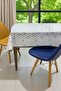 Pvc Transparent Coated Erasable Oilcloth Tablecloth Daisy 62-B - 3