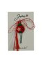 Rubber Martisor, Ladybug, Jolie