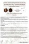 Nourishing, Strengthening Pine Turpentine Clove Complex Hair Mask That Instantly Repairs Hair - 3