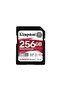 Sdr2V6-256Gb Canvas React Plus Sdxc Uhs-Ii 280R-150W U3 V60 for Full Hd-4K Sd Memory Card
