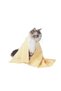 Quick Drying Towel for Cats and Dogs in the Bath Yellow - 4