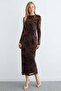 Velvet Detailed Lined Maxi Length Transparent Dress