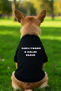I'M Meowing so I'M Here Funny Printed Cat Dog Outfit Tank Top Black Fun Cat Dog Sweat