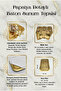 Single-Sided Gold 6-Piece Luxury Daisy Short Baton Tray 14X24 cm – Tea, Coffee and Promise Tray - 6