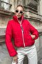 Red Back Stone Printed Mock Neck Short Puffer Jacket - 7