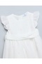 Embroidered Fit & Flare Dress With Crew Neck And Flutter Sleeves - 3